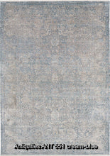 Load image into Gallery viewer, Antiquities ANT 551 cream-blue