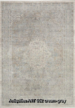Load image into Gallery viewer, Antiquities ANT 552 cream-gray