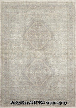Load image into Gallery viewer, Antiquities ANT 554 cream-gray