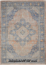 Load image into Gallery viewer, Antiquities ANT 557 multi