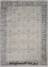 Load image into Gallery viewer, Antiquities ANT 558 gray
