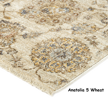Load image into Gallery viewer, Anatolia 5 Wheat

